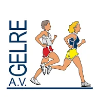 Veluwezoomloop logo