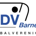 Afbeelding van SDVB loop