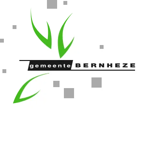 Bernheze 25 jaar logo