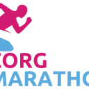 Afbeelding van Zorg Marathon