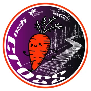 NSK Cross logo