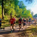 Afbeelding van Bedriegertjestrail 2026